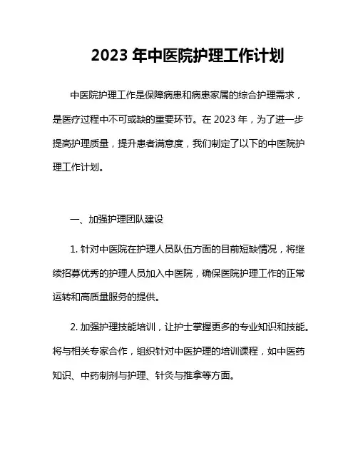2023年中医院护理工作计划