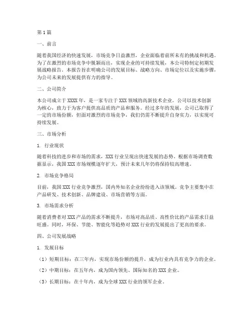公司初期发展战略报告(2篇)