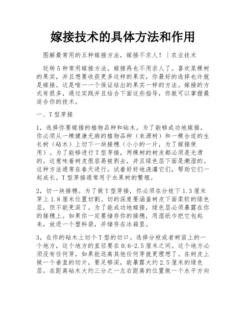 嫁接技术的具体方法和作用