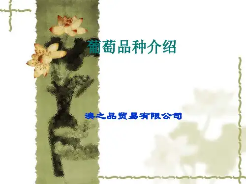 红酒基础知识——葡萄品种介绍