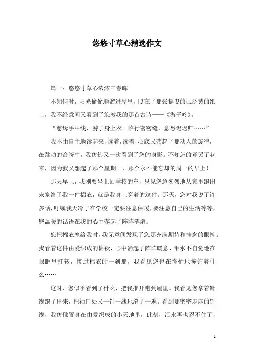 悠悠寸草心精选作文