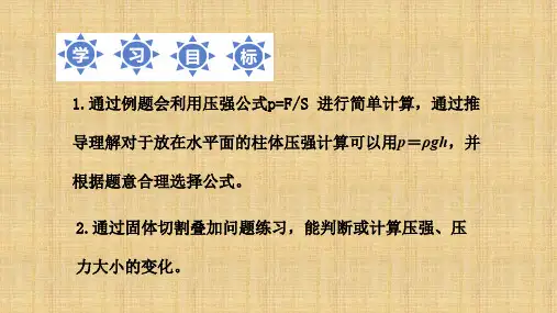 中考物理       固体压强复习