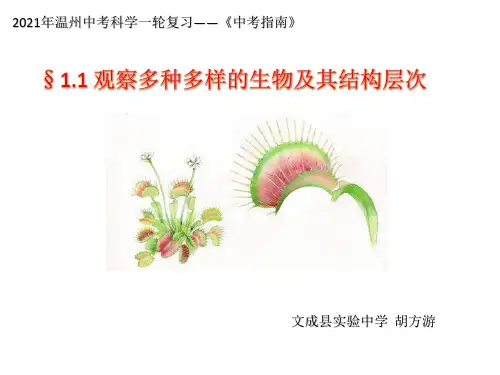 观察多种多样的生物及其结构层次优质课件PPT