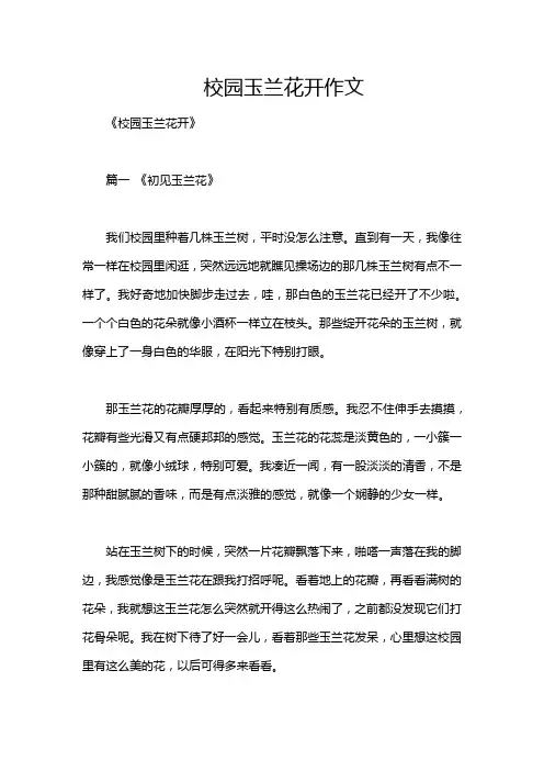 校园玉兰花开作文