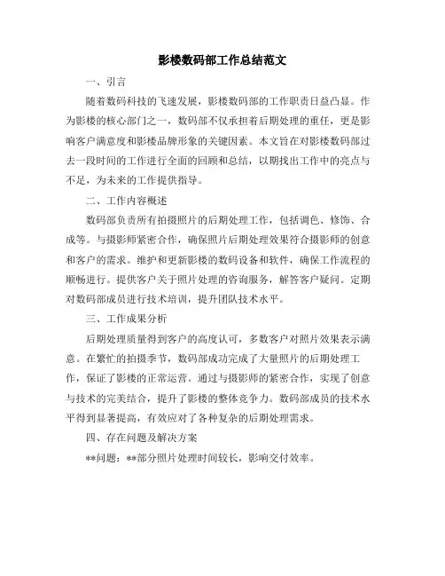 影楼数码部工作总结范文