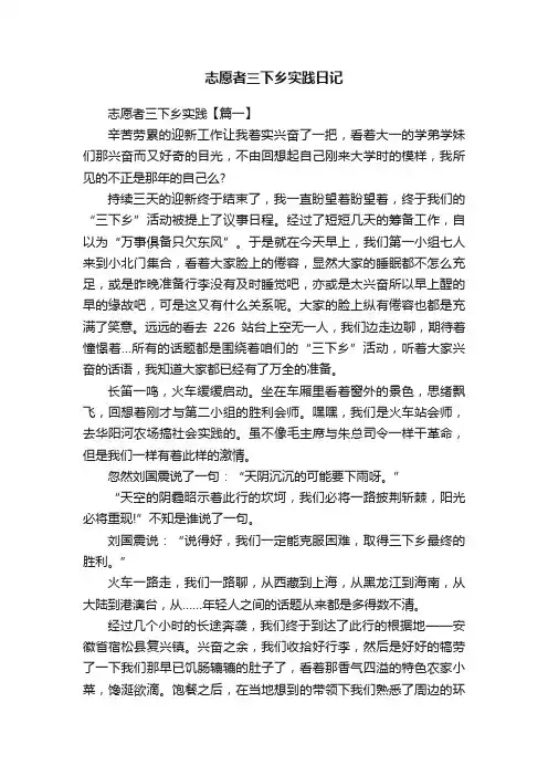 志愿者三下乡实践日记