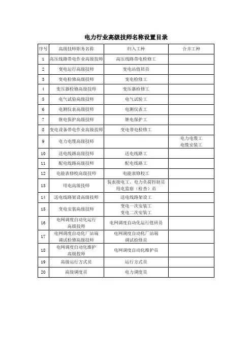 电力行业高级技师名称设置目录