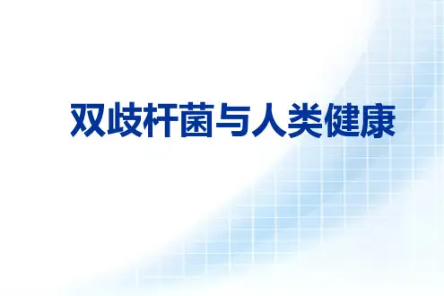 双歧杆菌