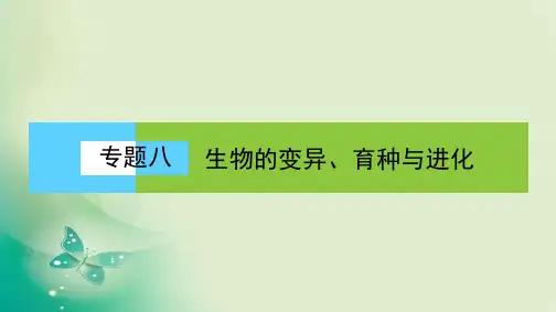 新高考二轮复习专题八生物的变异育种与进化课件(76张)