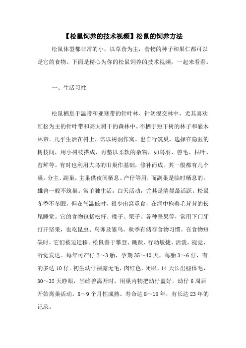 【松鼠饲养的技术视频】松鼠的饲养方法