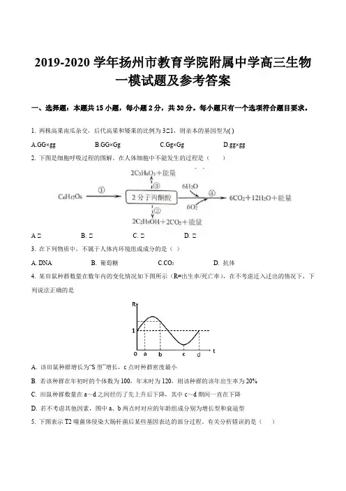 2019-2020学年扬州市教育学院附属中学高三生物一模试题及参考答案