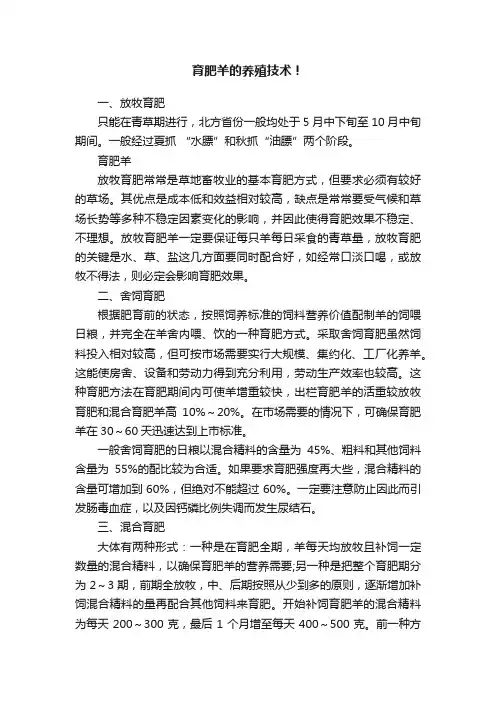 育肥羊的养殖技术！