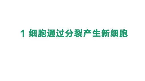 新教材生物七年级上册课件-第一节 细胞通过分裂产生新细胞