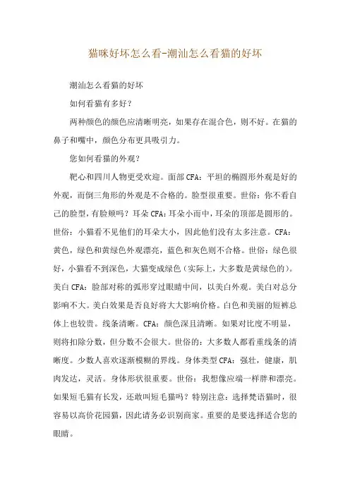 猫咪好坏怎么看-潮汕怎么看猫的好坏