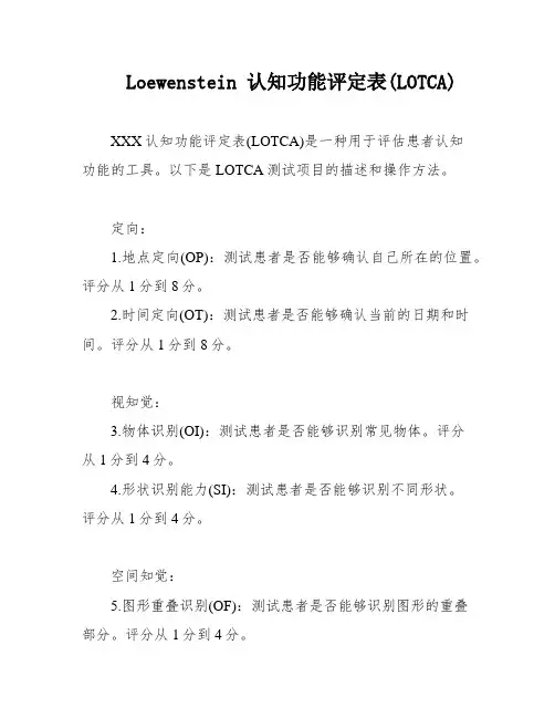 Loewenstein 认知功能评定表(LOTCA)