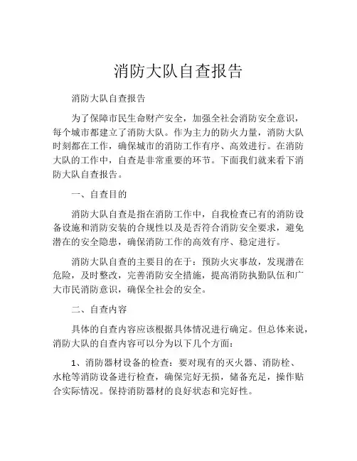 消防大队自查报告