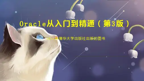 Oracle从入门到精通(第3版)