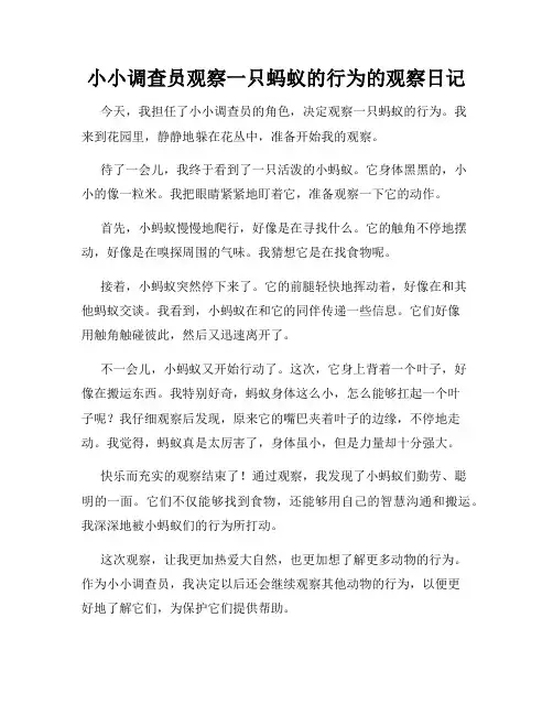 小学三年级作文小小调查员观察一只蚂蚁的行为的观察日记