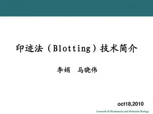 印迹法