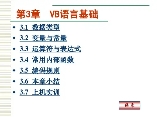 第3章 VB语言基础s