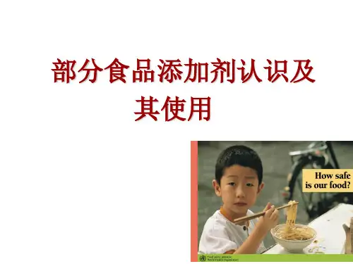 食品添加剂PPT演示幻灯片