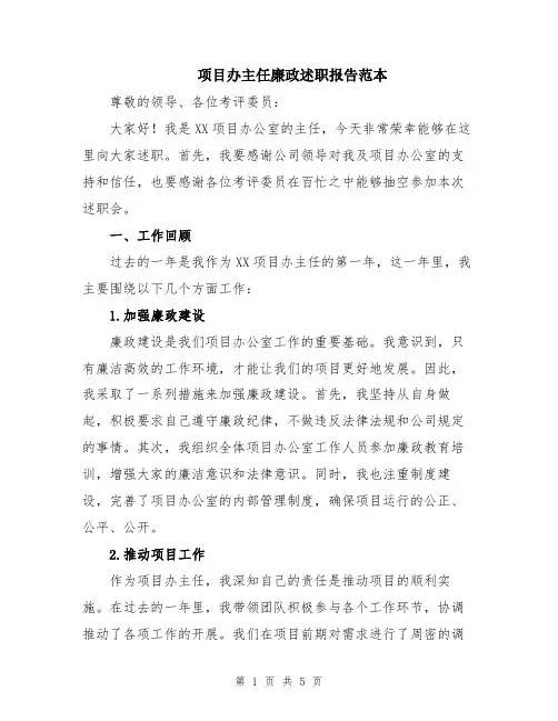 项目办主任廉政述职报告范本