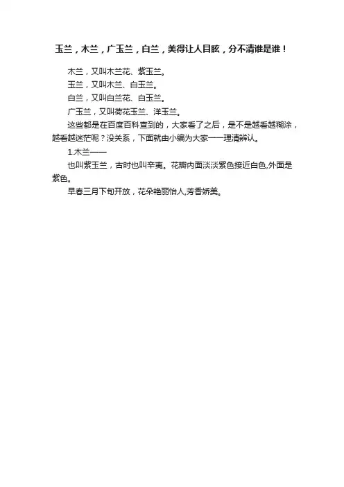 玉兰，木兰，广玉兰，白兰，美得让人目眩，分不清谁是谁！