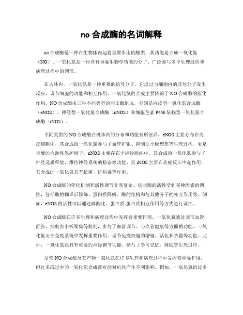 no合成酶的名词解释