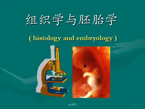 组织胚胎学第一章绪论  ppt课件