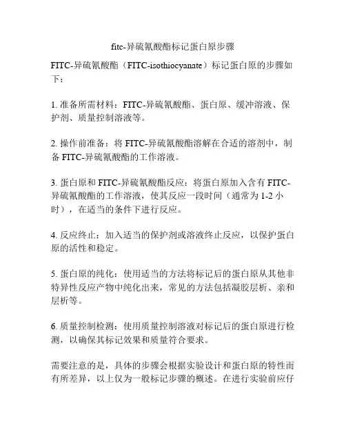 fitc-异硫氰酸酯标记蛋白原步骤