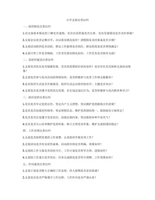 小学支部自查自纠
