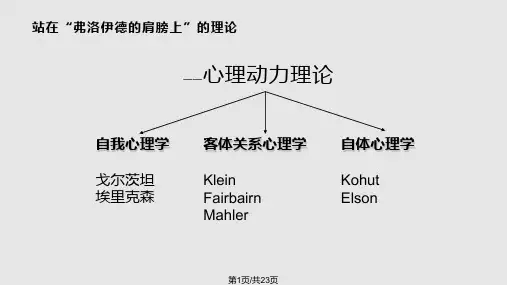 心理动力学PPT课件