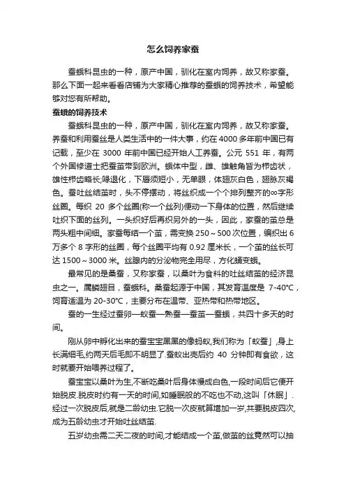 怎么饲养家蚕