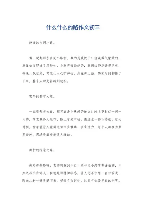 什么什么的路作文初三