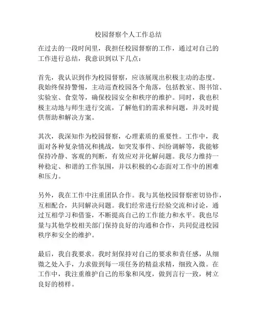 校园督察个人工作总结