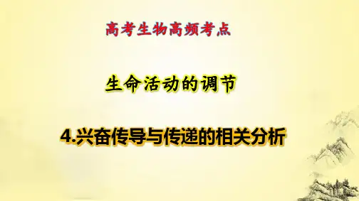 高考生物高频考点：4.兴奋传导与传递的相关分析
