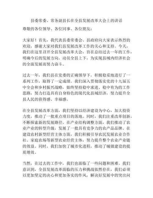 县委常委、常务副县长在全县发展改革大会上的讲话