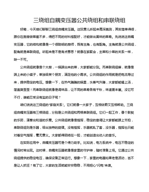 三绕组自耦变压器公共绕组和串联绕组