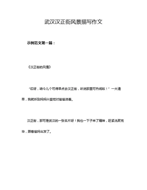 武汉汉正街风景描写作文