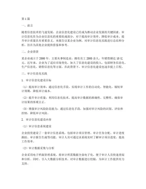 审计信息化实践报告(2篇)