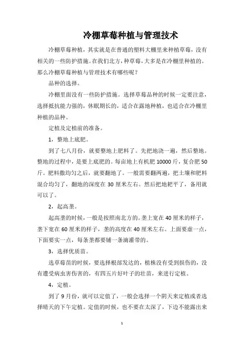 冷棚草莓种植与管理技术