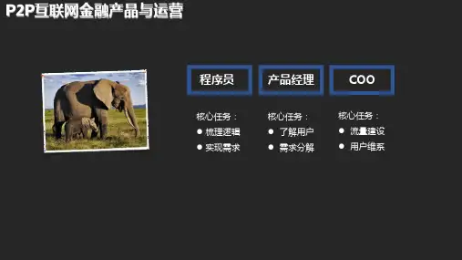 P2P商业模式及运营体系nho