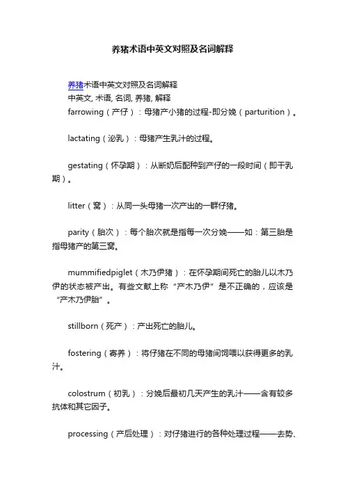 养猪术语中英文对照及名词解释