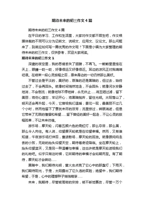 期待未来的初三作文4篇