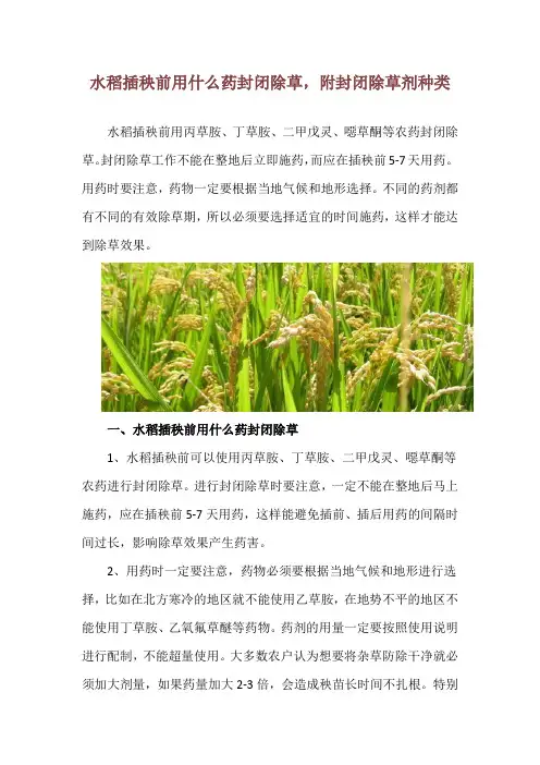 水稻插秧前用什么药封闭除草,附封闭除草剂种类