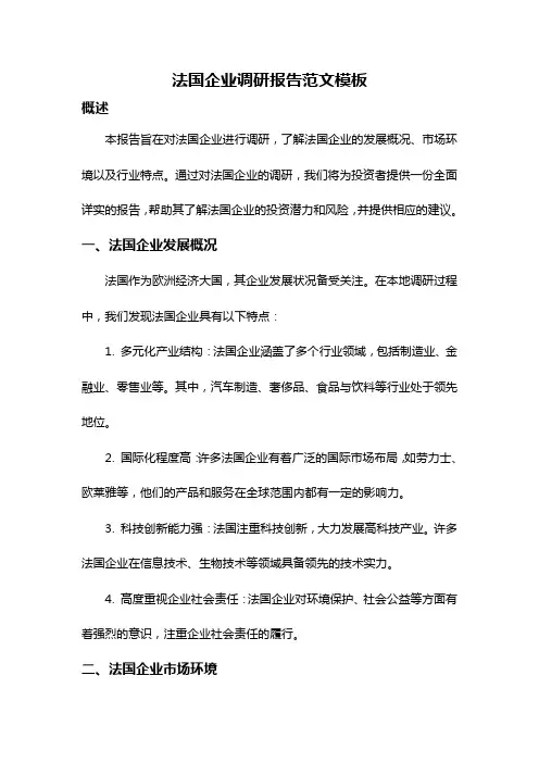 法国企业调研报告范文模板