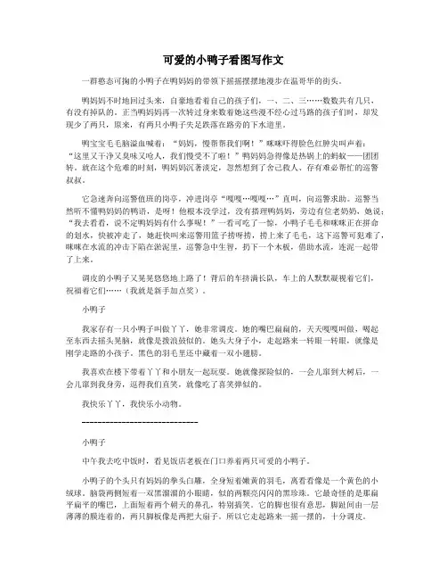 可爱的小鸭子看图写作文