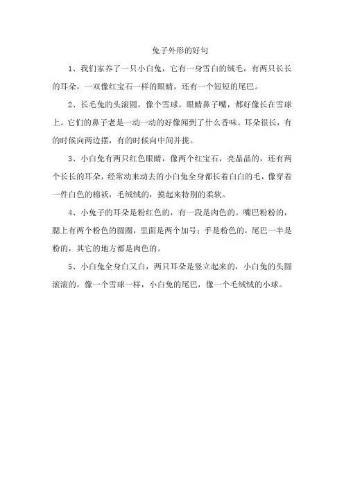 兔子外形的好句
