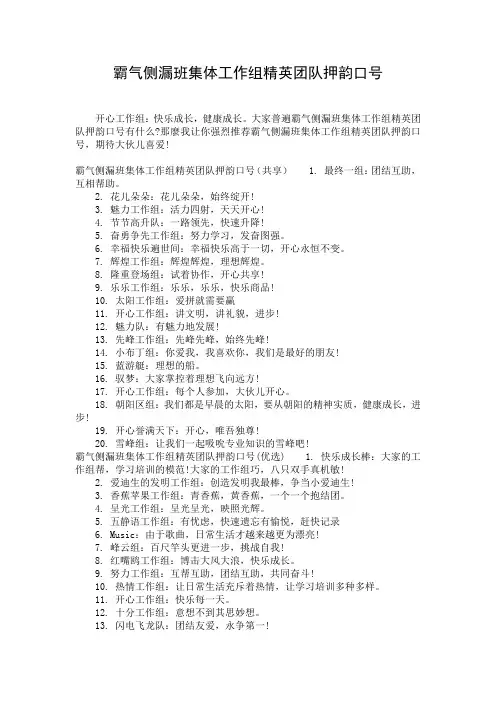 霸气侧漏班集体工作组精英团队押韵口号