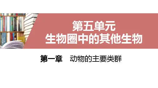 第一章第三节软体动物和节肢动物(人教版生物)